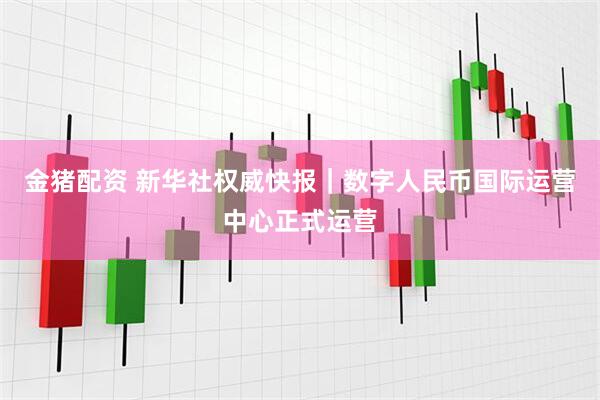 金猪配资 新华社权威快报｜数字人民币国际运营中心正式运营