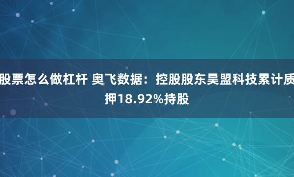 股票怎么做杠杆 奥飞数据：控股股东昊盟科技累计质押18.92%持股