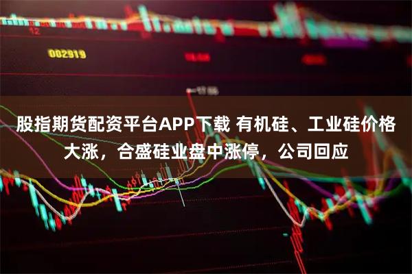 股指期货配资平台APP下载 有机硅、工业硅价格大涨，合盛硅业盘中涨停，公司回应