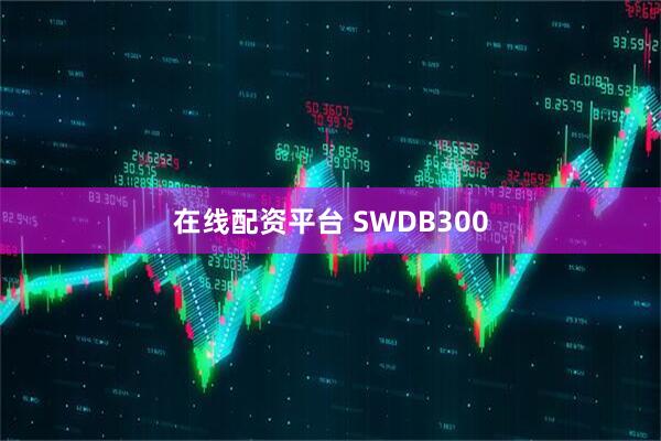 在线配资平台 SWDB300