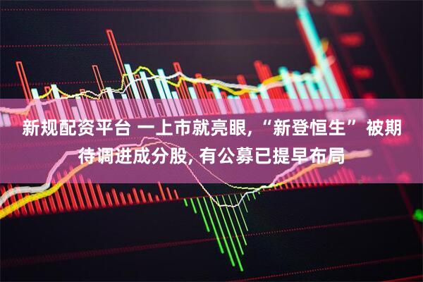 新规配资平台 一上市就亮眼, “新登恒生” 被期待调进成分股, 有公募已提早布局