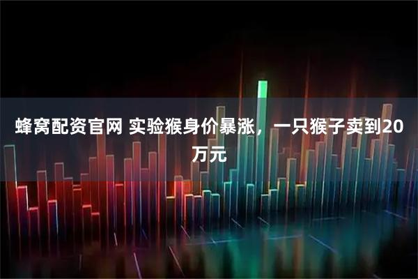 蜂窝配资官网 实验猴身价暴涨，一只猴子卖到20万元